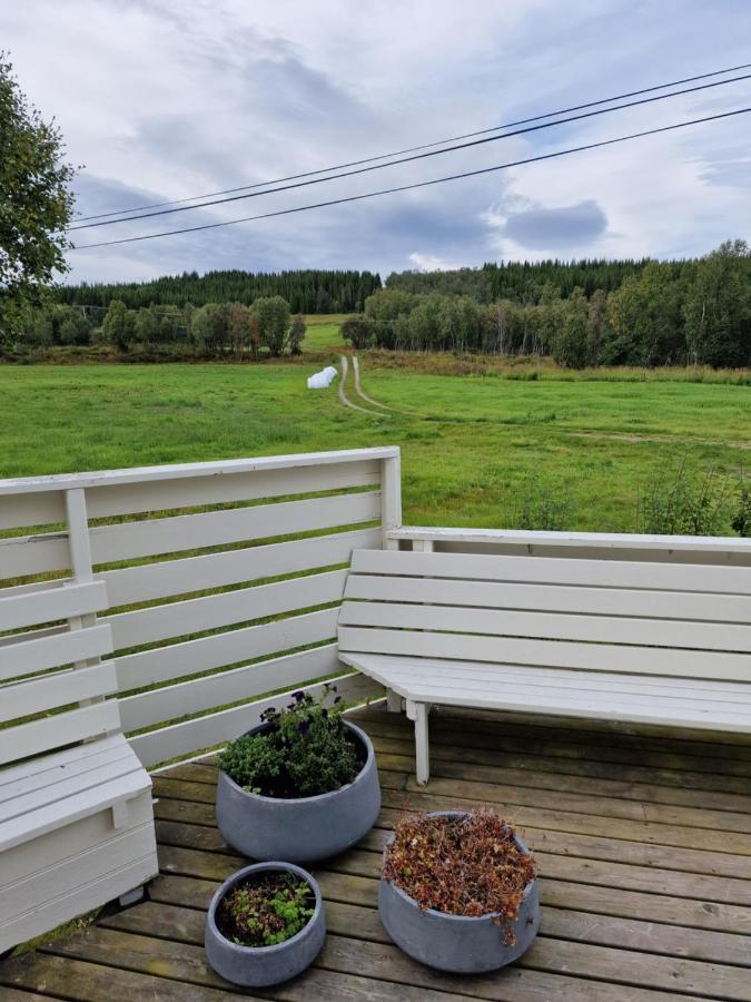 Warm And Cozy Cottage, Great Location Kvaloya Exterior photo