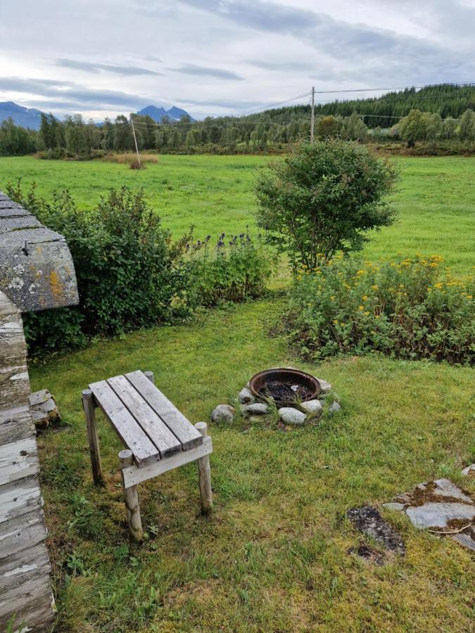 Warm And Cozy Cottage, Great Location Kvaloya Exterior photo